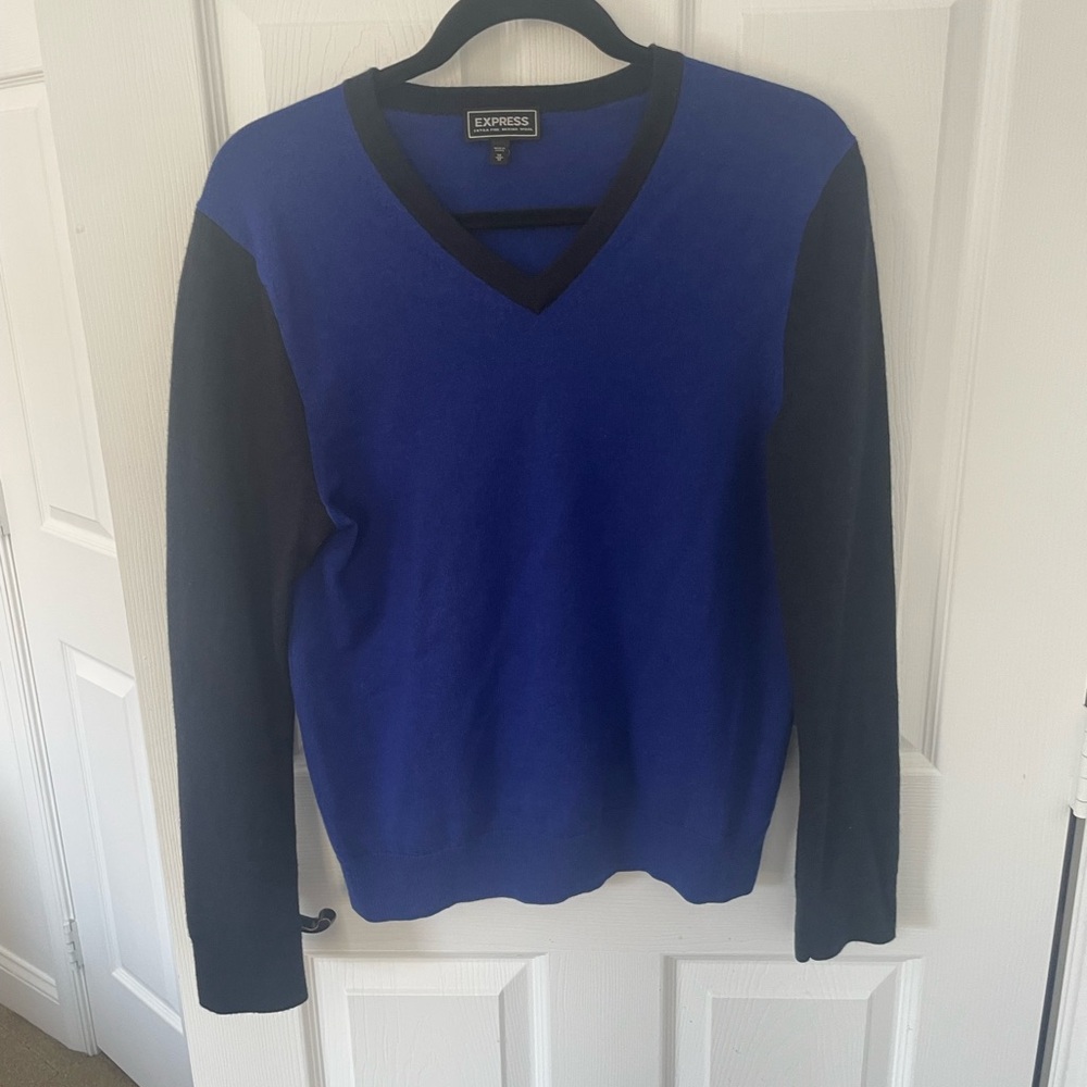 Express V-Neck 100% Merino Wool Sweater
